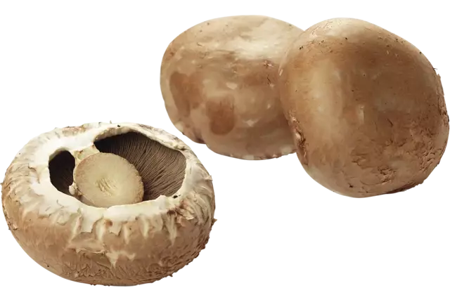 Portobello los kist 2 kilogram