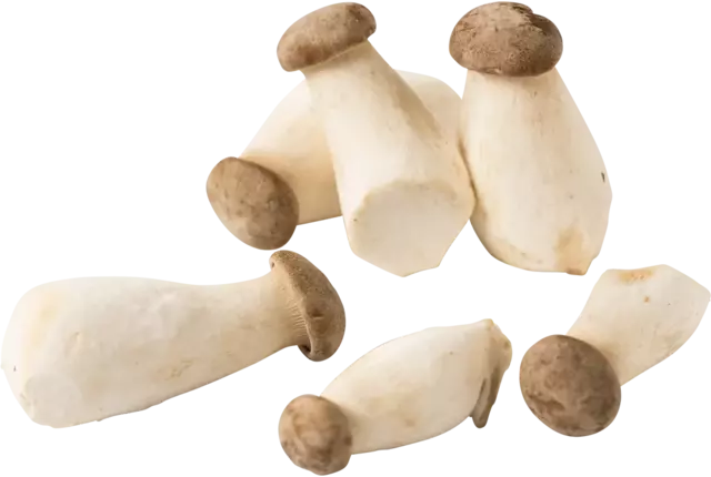 Mini King Oyster 300gr piece