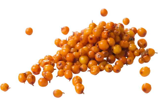Duindoornbessen (diepvries) 500gr stuk