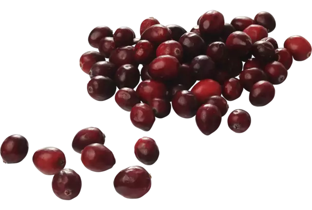 Vossenbessen (diepvries) 500gr kist 8 stuks