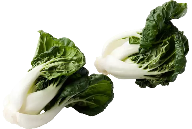 Mini paksoi (bokchoi) verpakt 250gr stuk