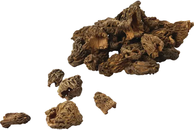Morilles gedroogd verpakt 100gr kist 12 stuks