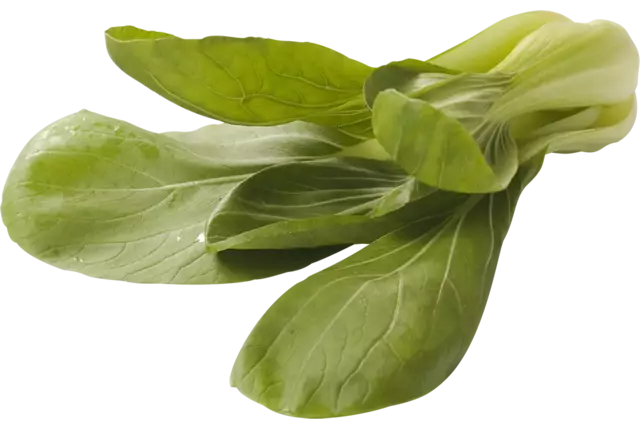 Shanghai paksoi verpakt 500gr kist 8 stuks
