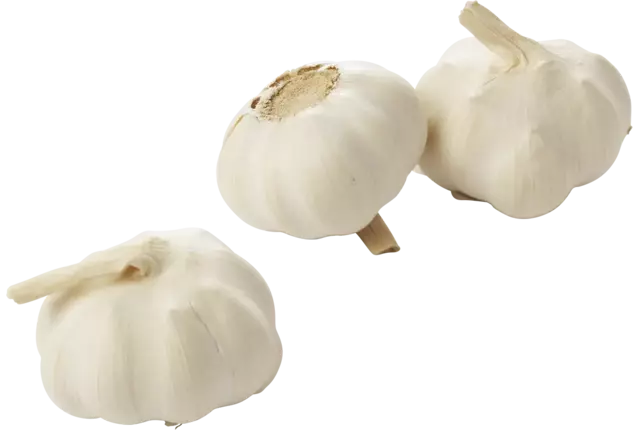 Knoflook verpakt 1kg stuk