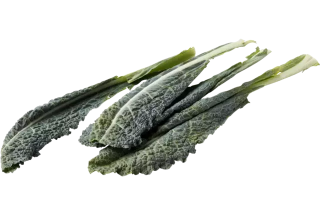 Palmkool - cavolo nero verpakt 250gr kist 4 stuks