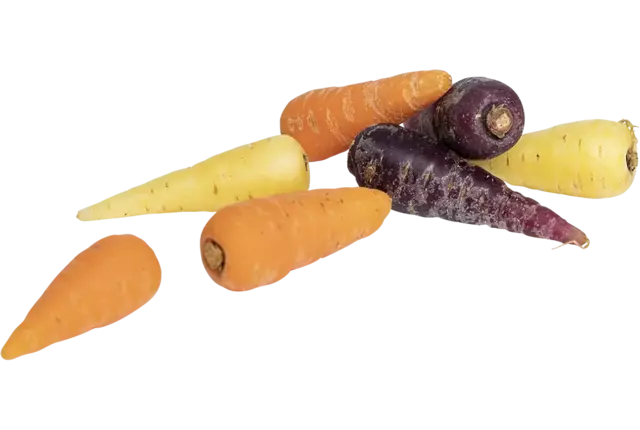 Chantenay carrots crade 5 kilo