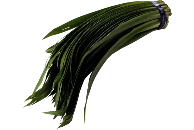 Pandan blad 250gr kist 8 stuks
