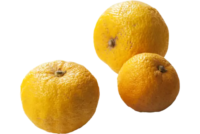 Yuzu limes 500g caisse 6pc