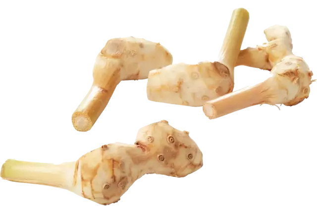 Laos - galangal verpakt 250gr