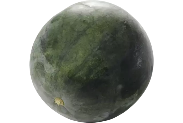 Watermeloen klein seedless