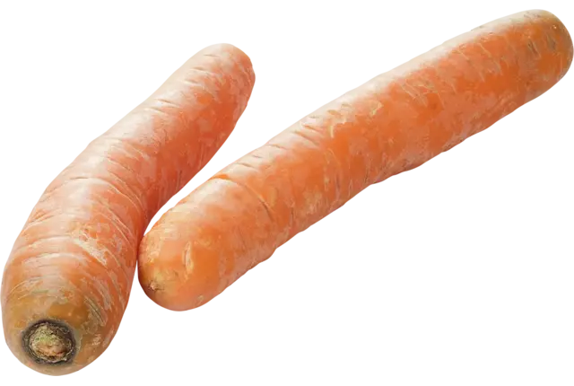 Winterpeen middel verpakt 1kg stuk