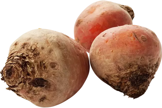 Bieten geel verpakt 1kg