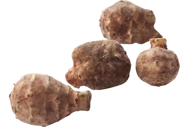 Topinamboer - aardperen verpakt 1kg