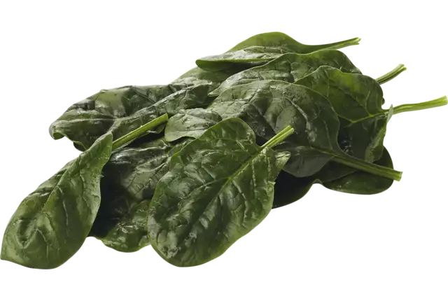 Spinazie verpakt 1kg stuk