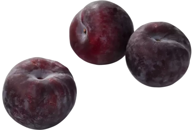 Prunes du vin caisse 6kg