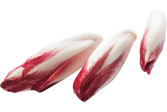 Rood witlof verpakt 500gr stuk