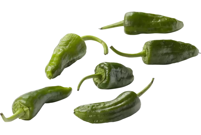Piments Pimiento de Padron caisse 2kg