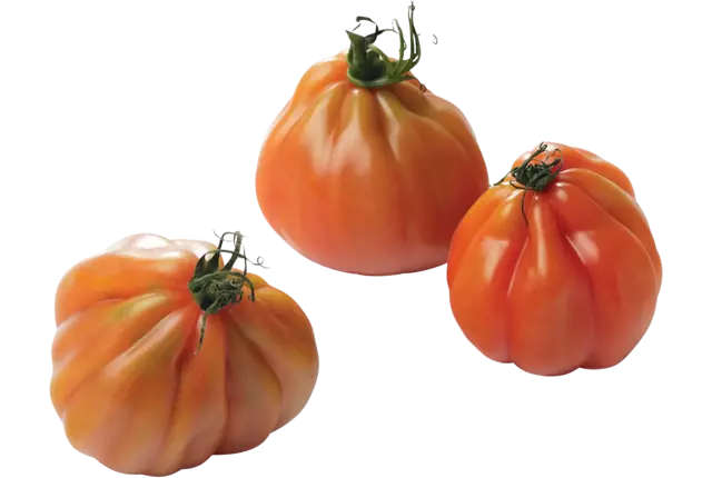 Tomate coeur de boeuf 500g pièce
