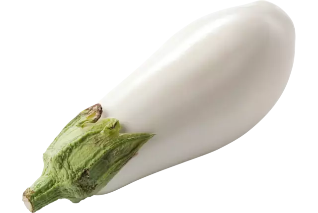 Aubergine wit