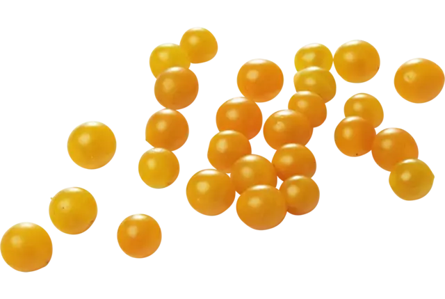 Tomates Tomberry jaune 125g pièce