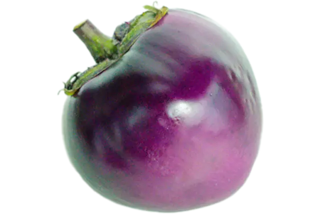 Aubergine palada (purpera)