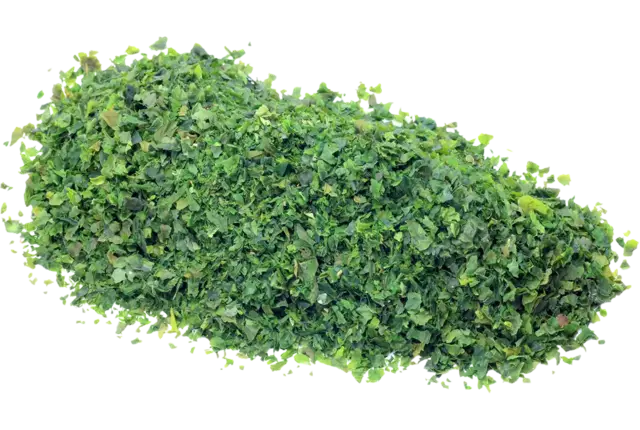Zeeslavlokken 20gr