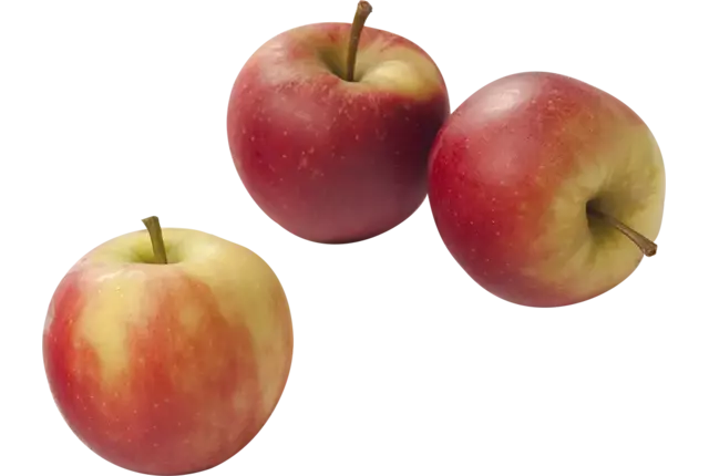 Appels voordeel kist 15 kilogram