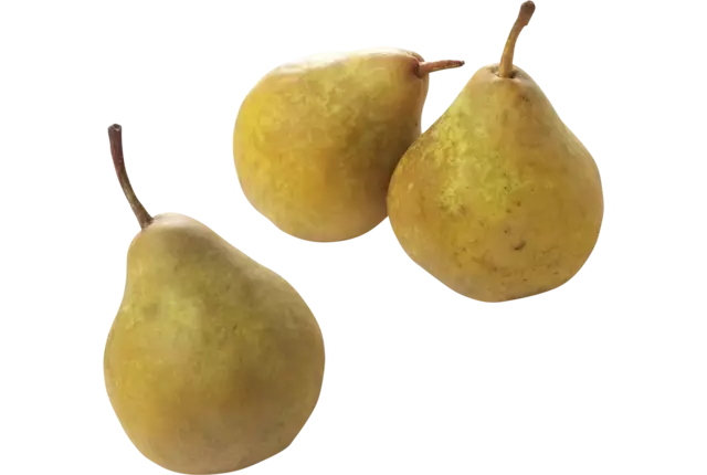 Gieser wildeman groot 70-80 verpakt 1kg kist 10 stuks