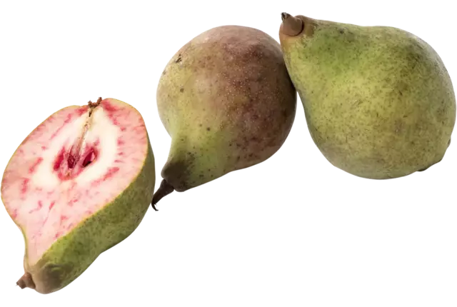 Karmozijn peren kist 10 stuks