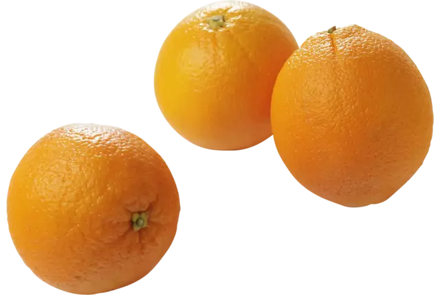 BIO Sinaasappels hand-pers 15kg kist 15 kilogram