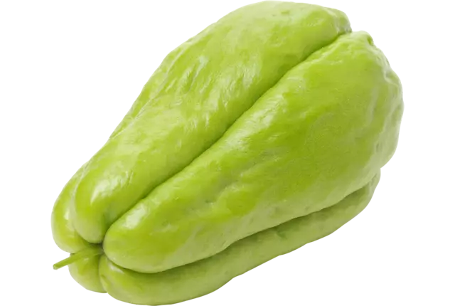 Chayote kist 25 stuks