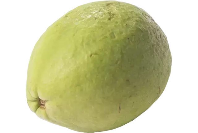 Guave doos 2kg stuk