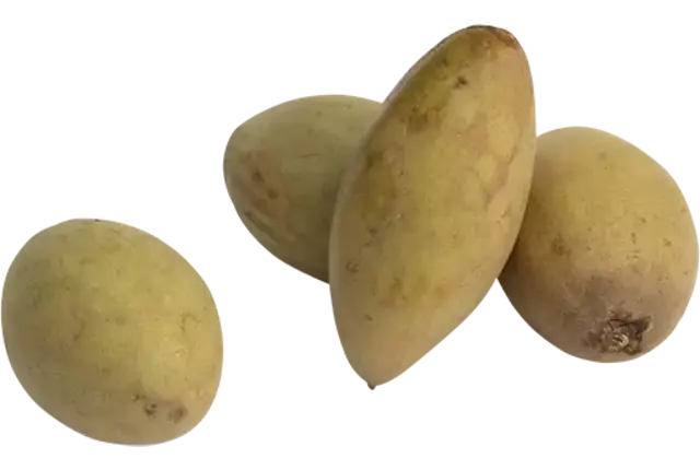 Sapodilla doos 2kg kist 2 stuks