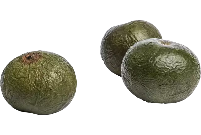 Lucuma