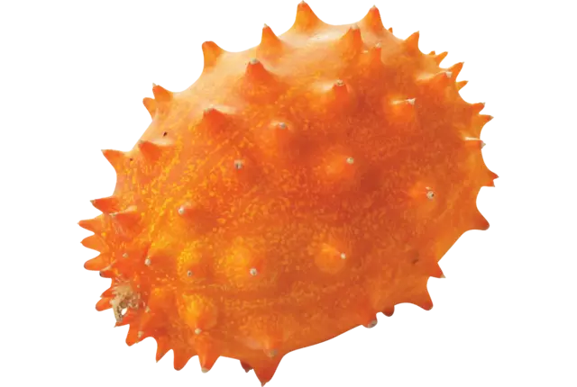 Kiwano