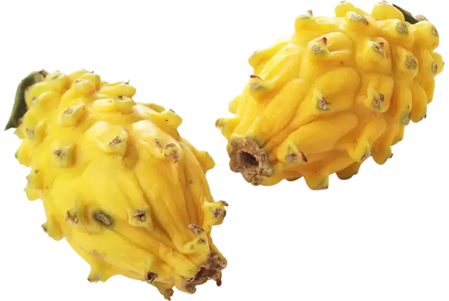 Pitahaya geel