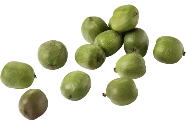 Kiwiberries 125g taille 12 pièce
