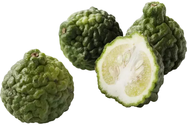 Kaffier limes doos 2kg stuk
