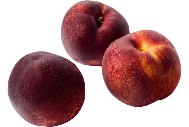 Nectarines verpakt 5st kist 7 stuks