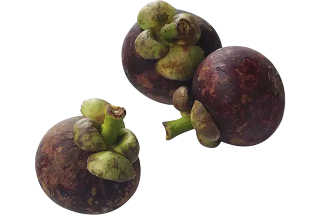 Mangistan verpakt 250gr kist 6 stuks