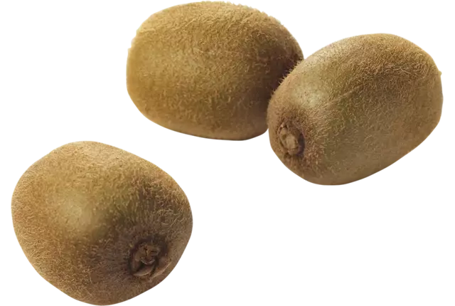 Kiwi green moyen caisse 10kg