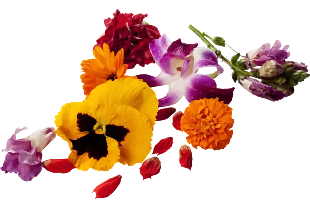 Edible flowers mixed piece