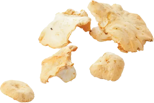 Pied de mouton doos 1kg stuk