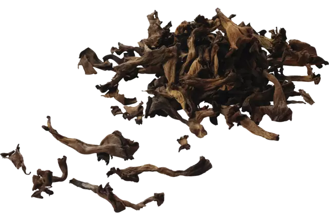 Trompet de la mort 1kg pièce