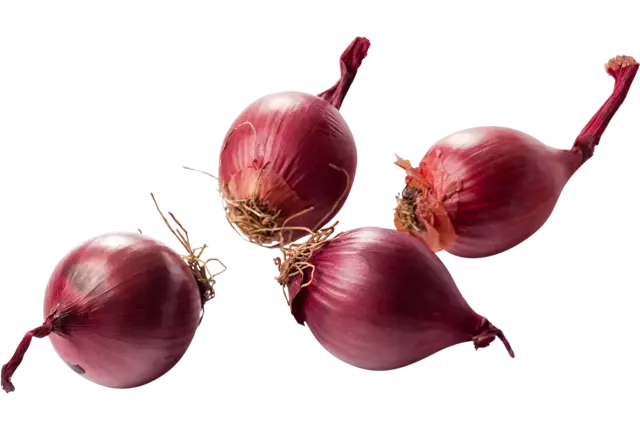 Zilveruien rood verpakt 500gr stuk