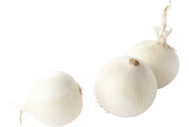 Witte uien verpakt 1kg kist 6 stuks