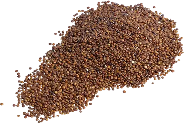 Quinoa rood BIO 700gr kist 8 stuks