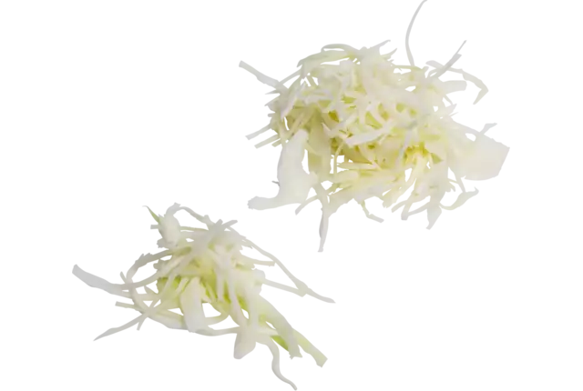 Witte kool regeneratief 3mm zak 1kg