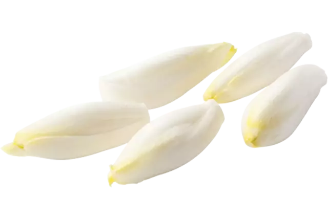 Witlof kort heel schoon zak 1kg stuk