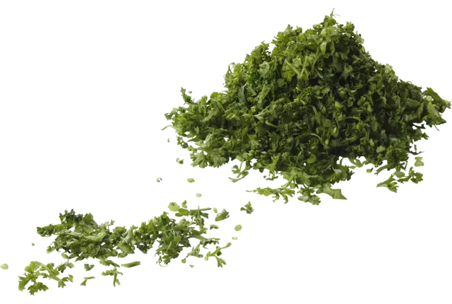 Persil 2mm 100g pièce